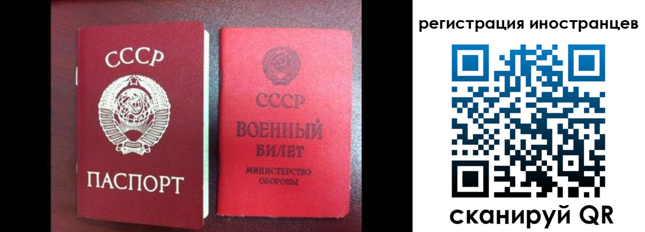 временная регистрация для всех в Брянской области